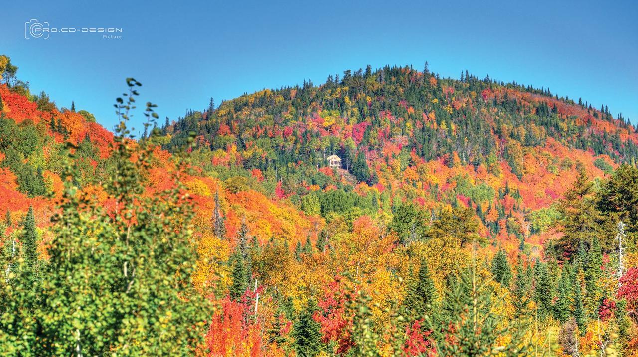 Le Vanilee - Les Chalets Spa Canada La Malbaie Exterior foto